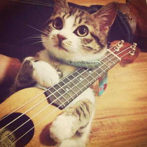 国产学生一级毛片在线
